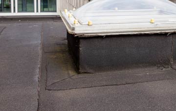 disadvantages of Waen Trochwaed flat roofs