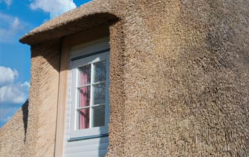 Waen Trochwaed thatch roof disadvantages