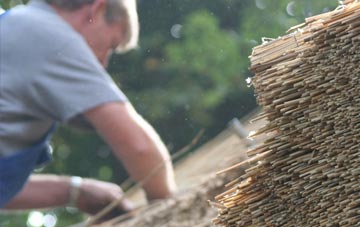 professional Waen Trochwaed thatchers